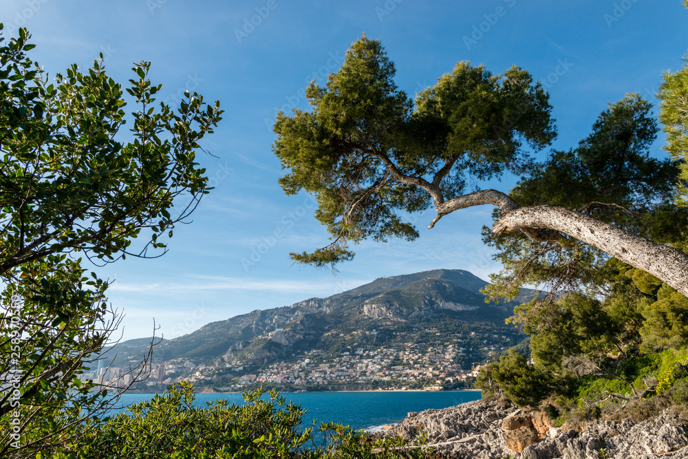 Des&nbsppaysages stupéfiants